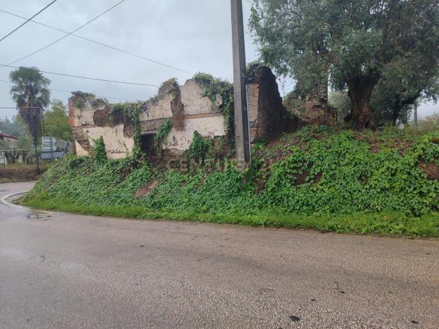 Moradia, Olalhas