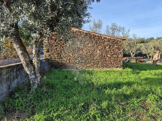 Moradia, Olalhas