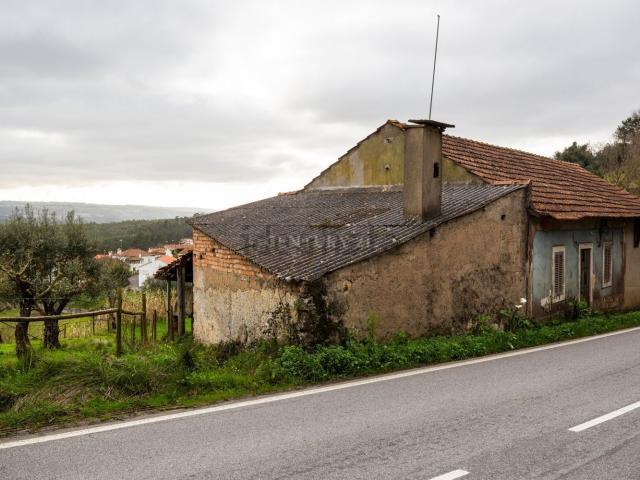 Moradia, Olival