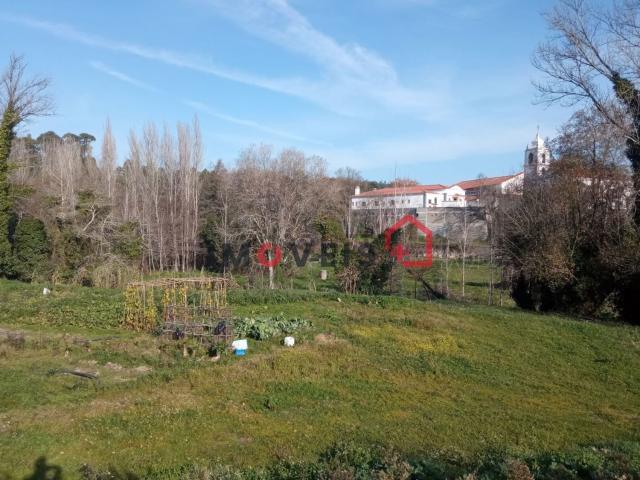 Moradia, Olival