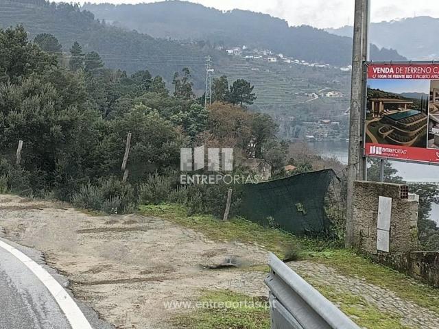 Moradia, Oliveira