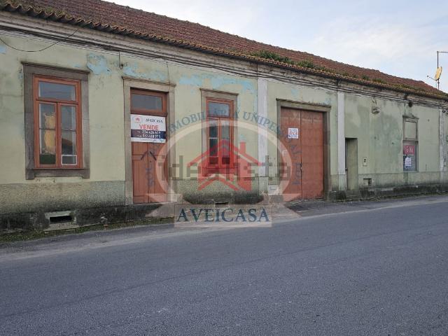 Moradia, Oliveirinha