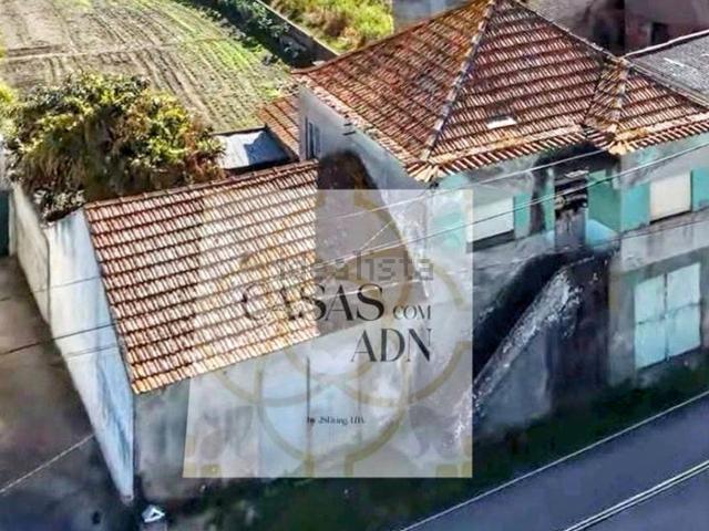 Moradia, Oliveirinha