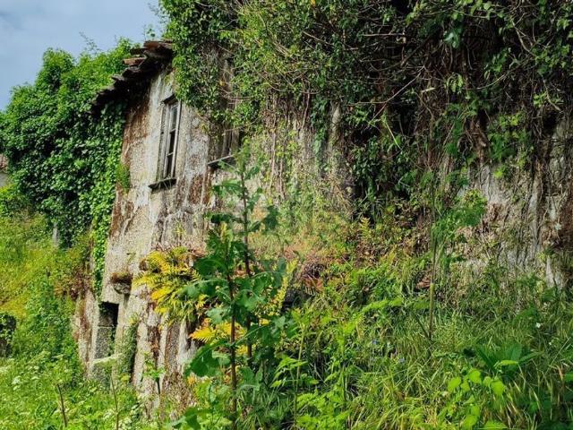 Moradia, Oriz