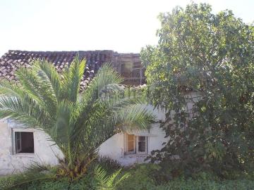 Moradia, Ortiga