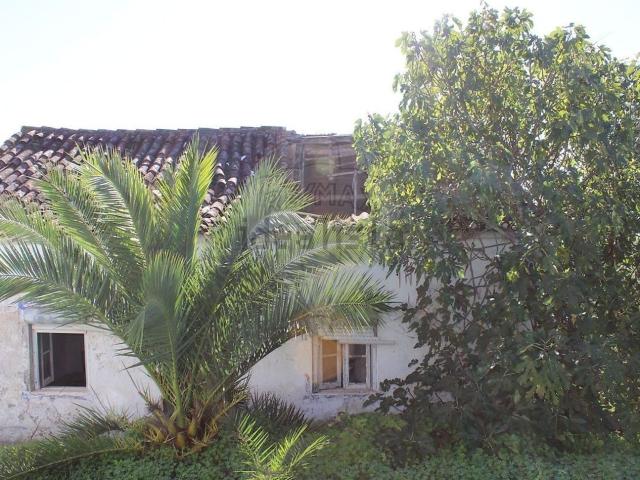 Moradia, Ortiga