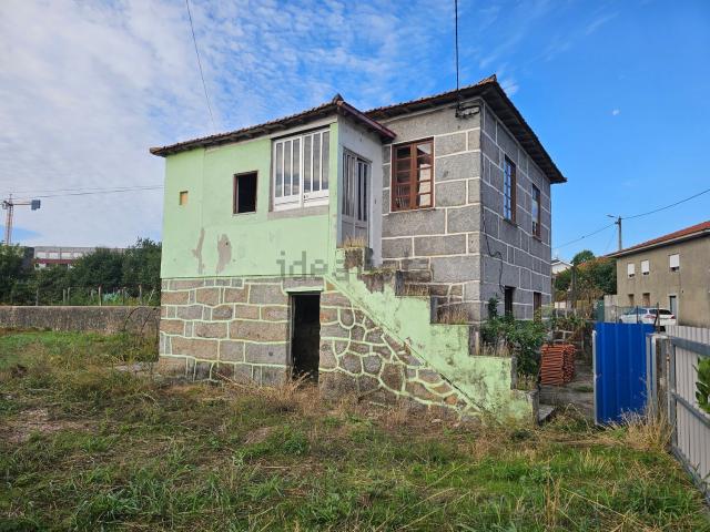 Moradia, Aves