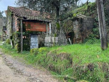 Rosém, Avessadas - Jardim, Quintal