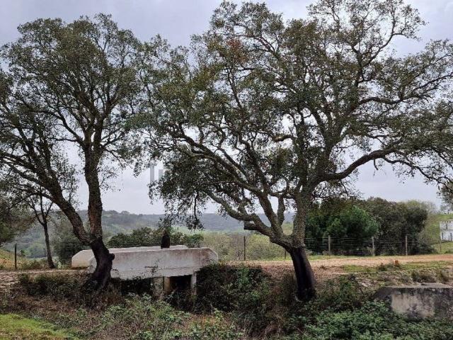 Moradia, Azinheira dos Barros