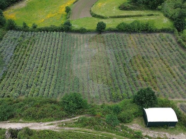 Moradia à venda em Gondoriz, Terras de Bouro RE/MAX Portugal