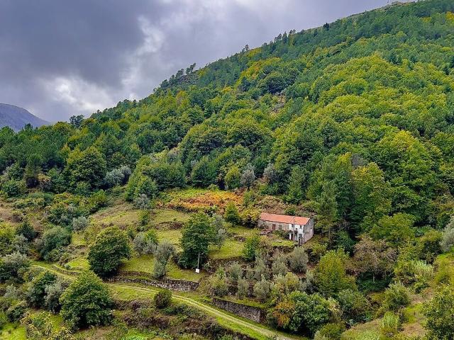 Moradia à venda em São Pedro, Manteigas RE/MAX Portugal