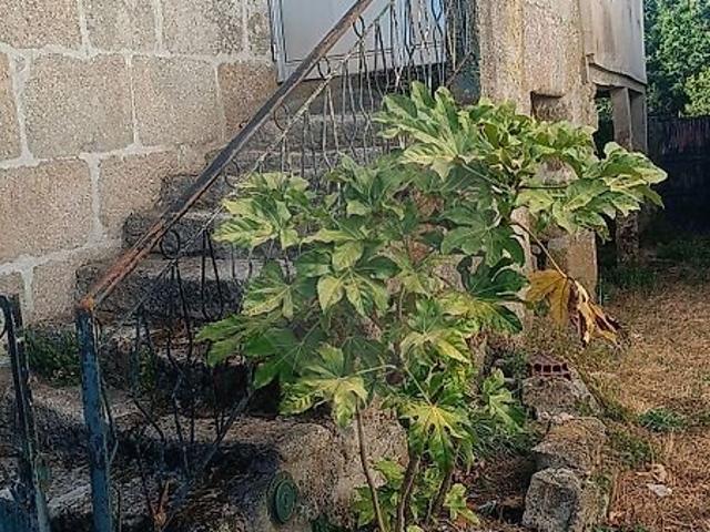 Moradia à venda em Souto de Aguiar da Beira e Valverde, Aguiar da Beira RE/MAX Portugal