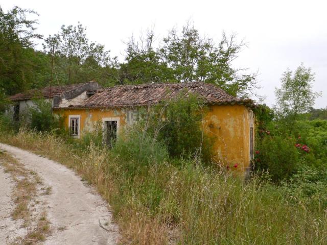 Moradia, Abitureiras