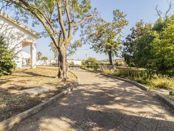 Moradia, Alcochete