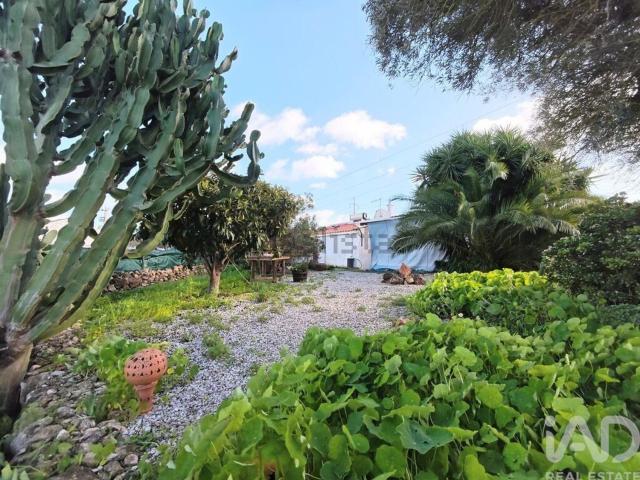 Moradia, Algoz