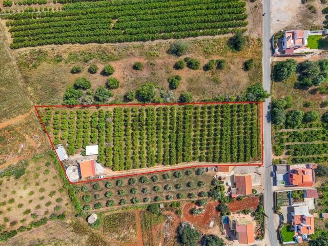 Moradia, Algoz