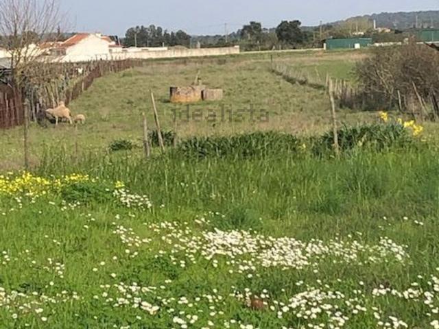 Moradia, Alpiarça