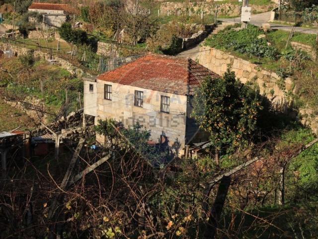 Moradia, Ancede e Ribadouro