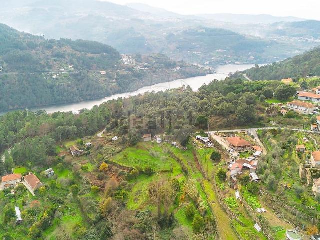 Moradia, Ancede e Ribadouro