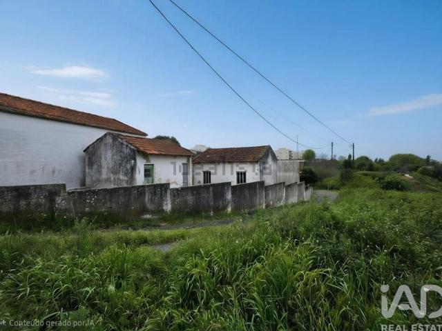 Moradia, Anta