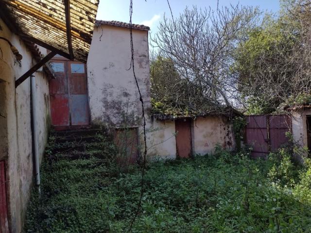 Moradia, Anta