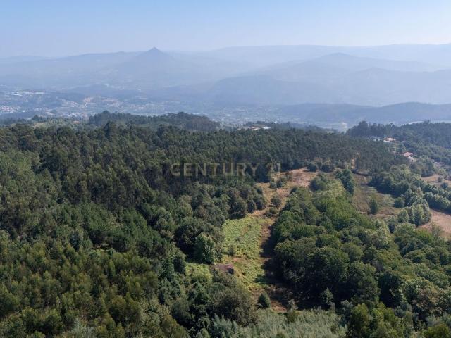 Moradia, Arnoia