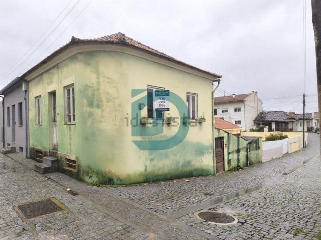 Moradia, Árvore