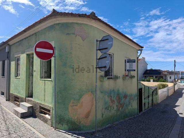 Moradia, Árvore