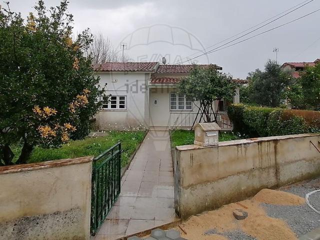 Moradia, Bustos Troviscal Mamarrosa