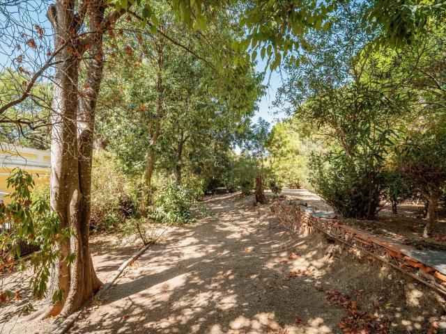 Moradia Bifamiliar T7 com Jardim, na Penha de França 462m² Penha De França