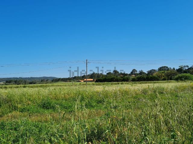 Moradia, Bordeira