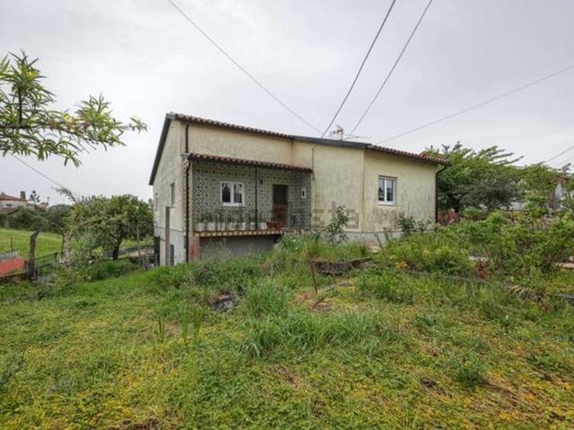 Moradia, Borralha