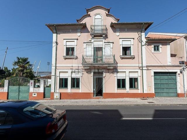 Moradia, Borralha