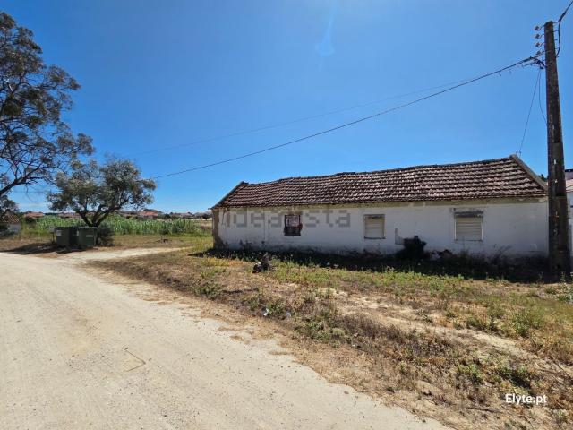 Moradia, Branca