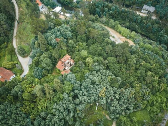 Moradia, Branca