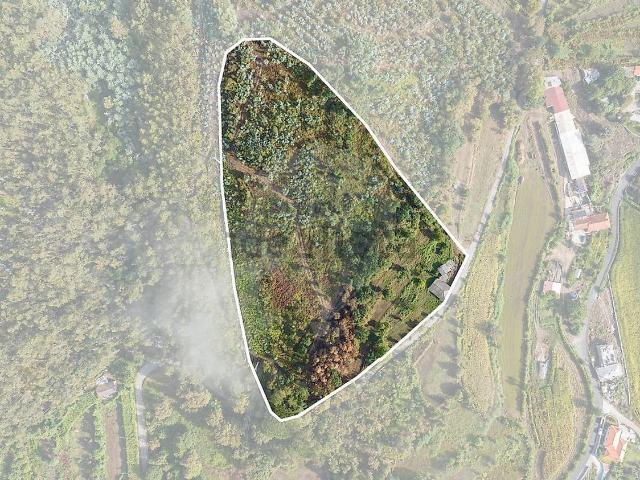 Moradia, Briteiros São Salvador e Briteiros Santa Leocádia
