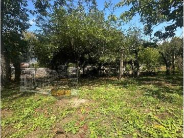 Custóias, Custóias Leça do Balio e Guifões, Matosinhos, Distrito de Porto