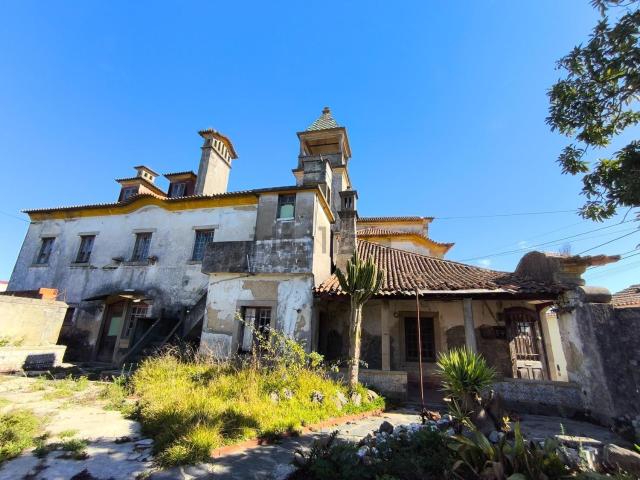 Moradia, Cacia