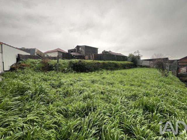 Moradia, Campo