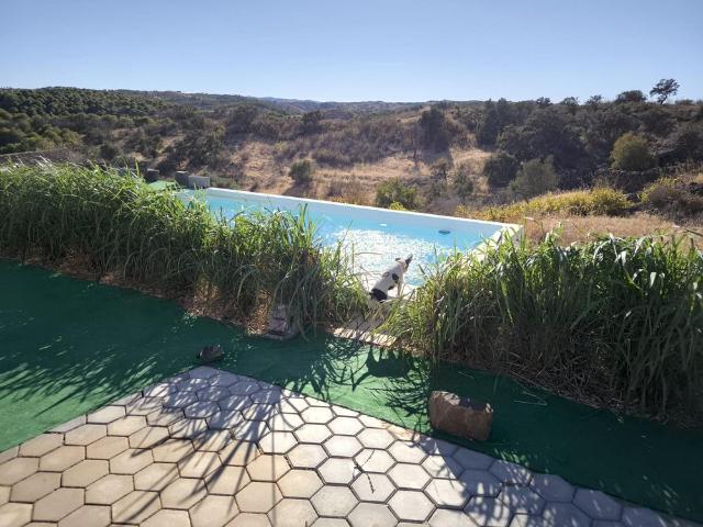 MORADIA CASA DE MADEIRA T1 COM PISCINA ARRENDAMENTO DE SETEMBRO A JUNHO ALCARIAS GRANDES CASTRO MARIM ALGARVE