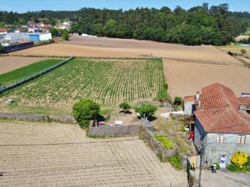 Stª Maria Avioso, Castêlo da Maia, Maia, Distrito de Porto