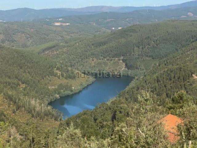 Moradia, Cardigos