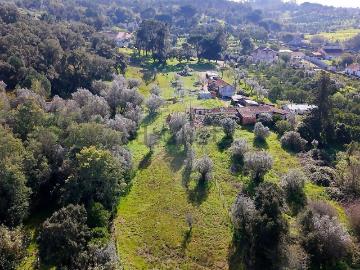 Moradia, Carregueira