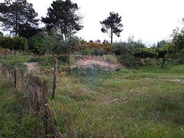 Moradia, Carregueira