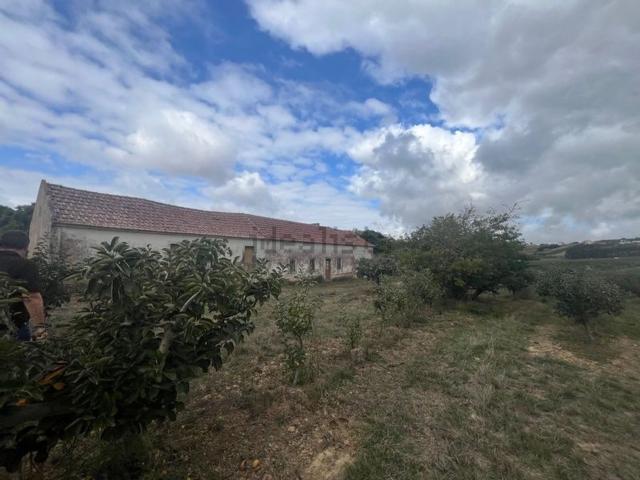 Moradia, Carvalhal