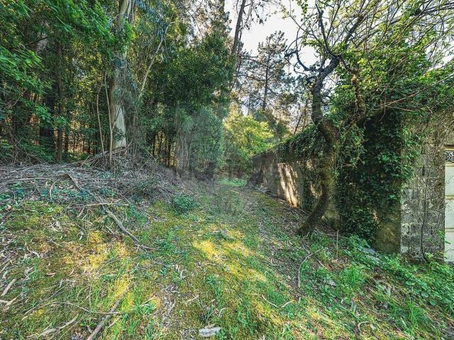 Moradia, Carvalhos