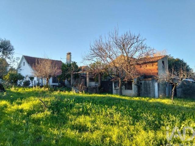 Moradia, Chãos