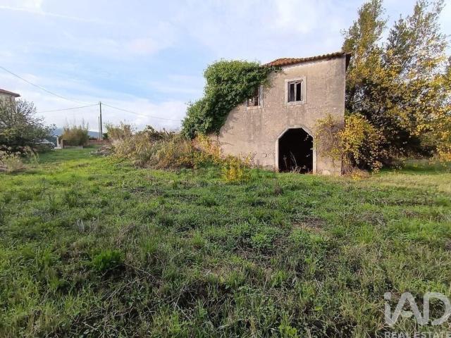 Moradia, Chancelaria