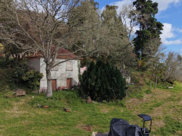 Moradia com terreno de 1.2 ha Santo da Serra