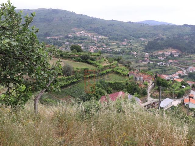 Moradia com Terreno de 2.650 m² Santa Marinha do Zêzere, Baião
